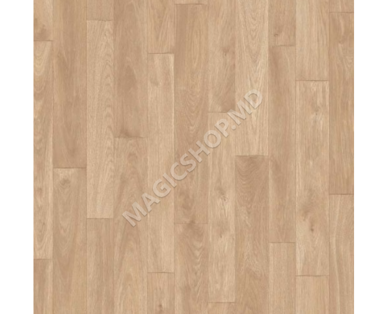 Linoleum Start Nancy 2